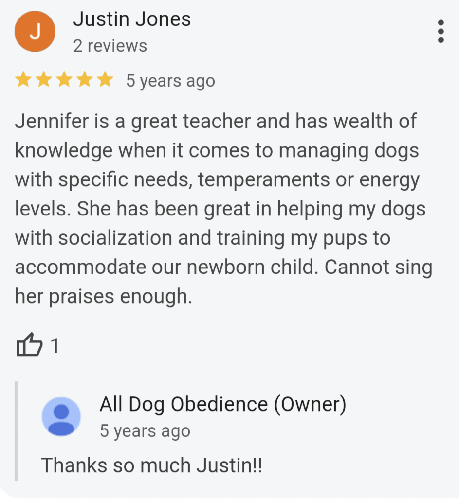 Dog Training Review